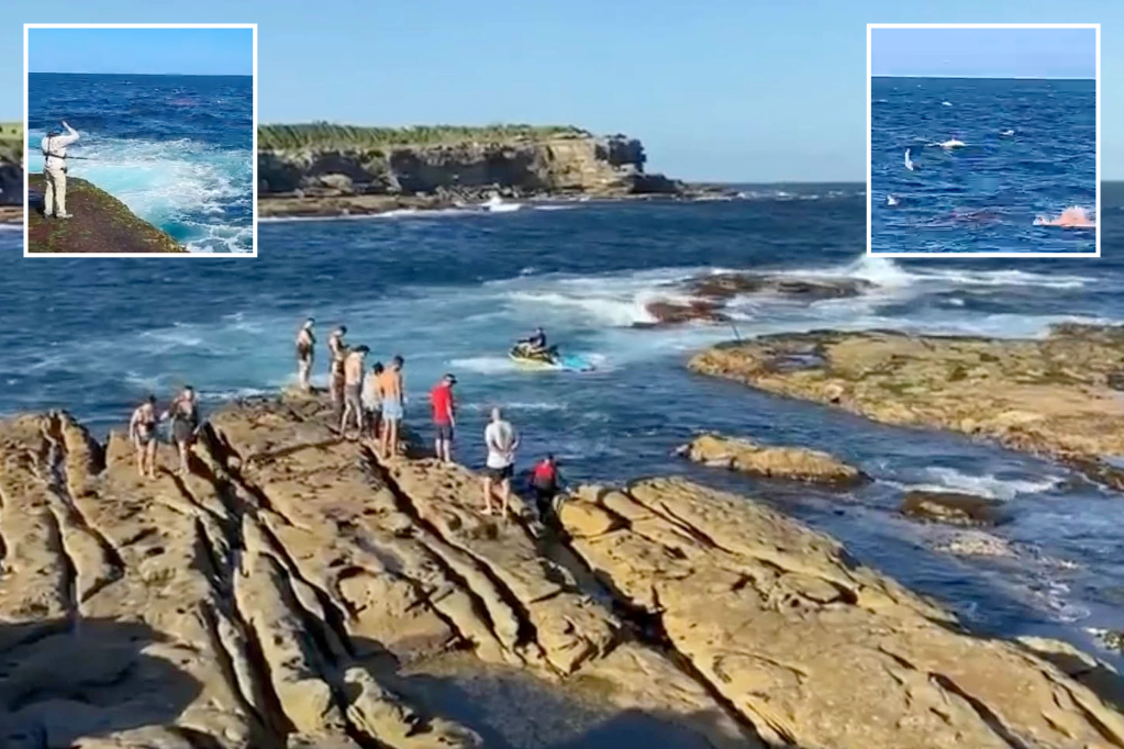 Ataque mortal de tubarão na Austrália força praias de Sydney a fechar