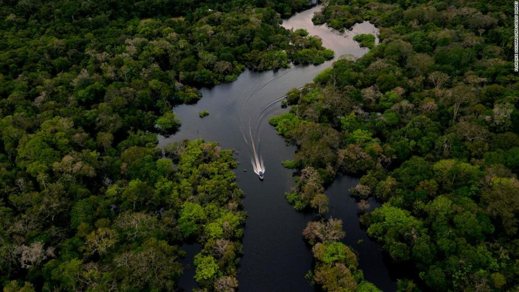 Um novo estudo descobre que a floresta amazônica está se aproximando do ponto de inflexão de mudar para uma savana