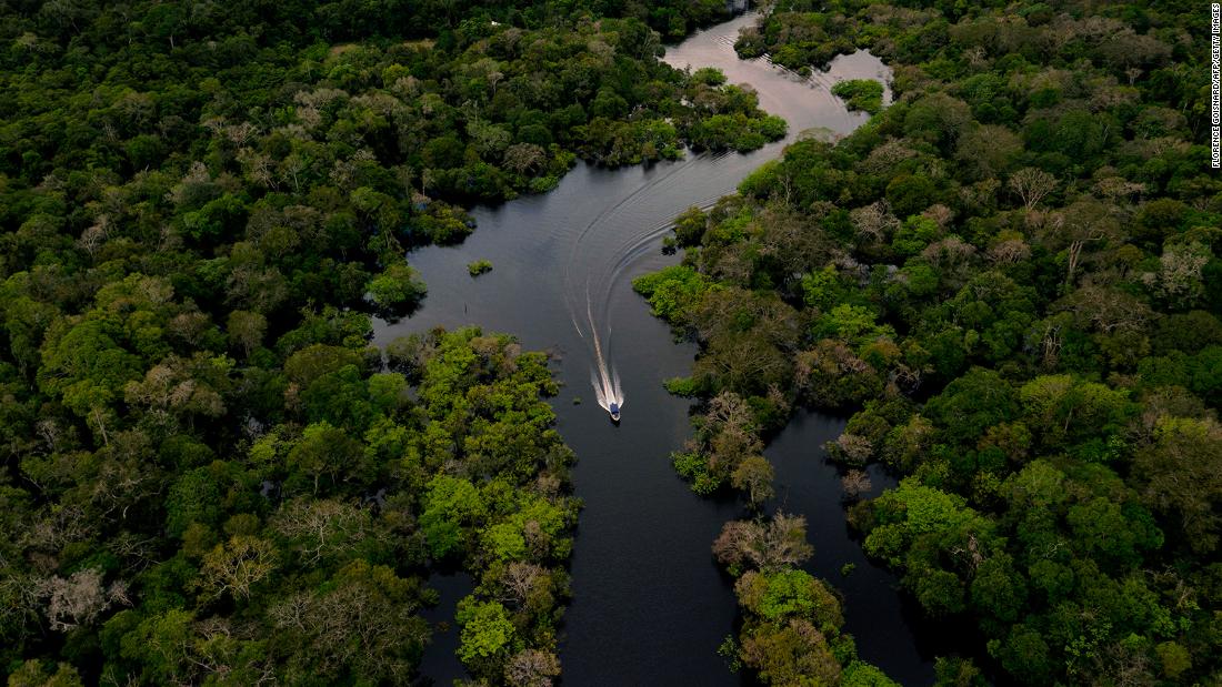 Um novo estudo descobre que a floresta amazônica está se aproximando do ponto de inflexão de mudar para uma savana

