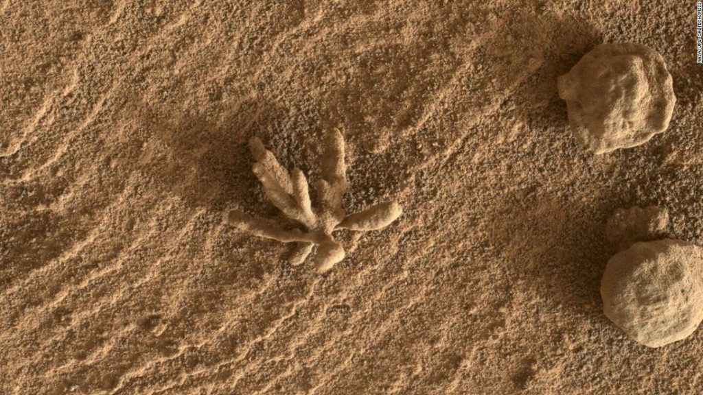Uma pequena formação de "flor" vista pelo rover Curiosity em Marte