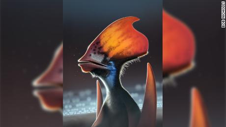 O estudo diz que os pterossauros eram cobertos com penas coloridas