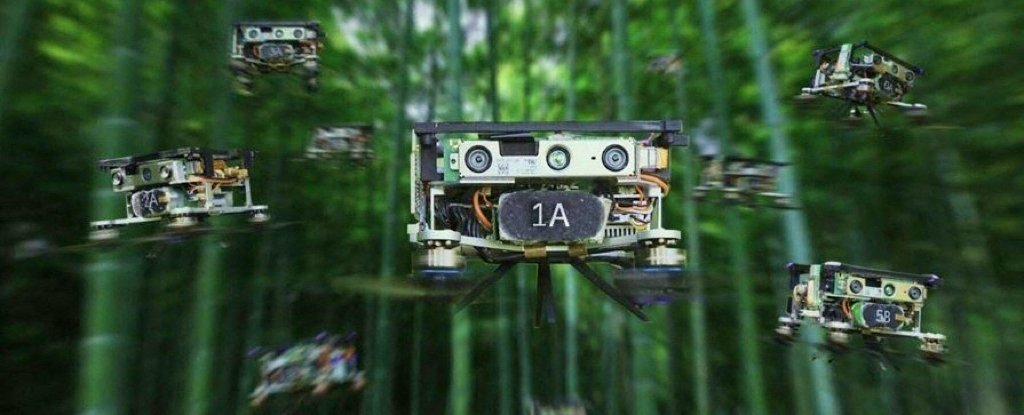Imagens impressionantes mostram um enxame de drones navegando em uma floresta densa com precisão assustadora