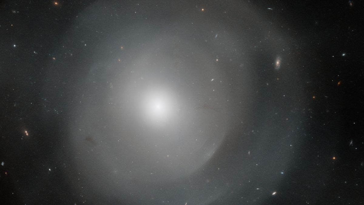 O telescópio Hubble detecta uma enorme galáxia com conchas misteriosas

