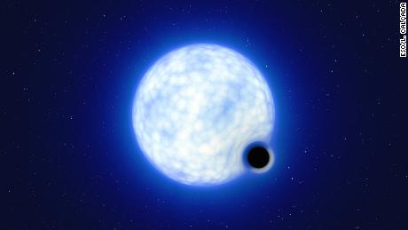 A impressão deste artista mostra como seria um sistema binário VFTS 243. O tamanho dos dois componentes binários não pode ser medido: na verdade, a estrela azul é cerca de 200.000 vezes maior que o buraco negro.  
