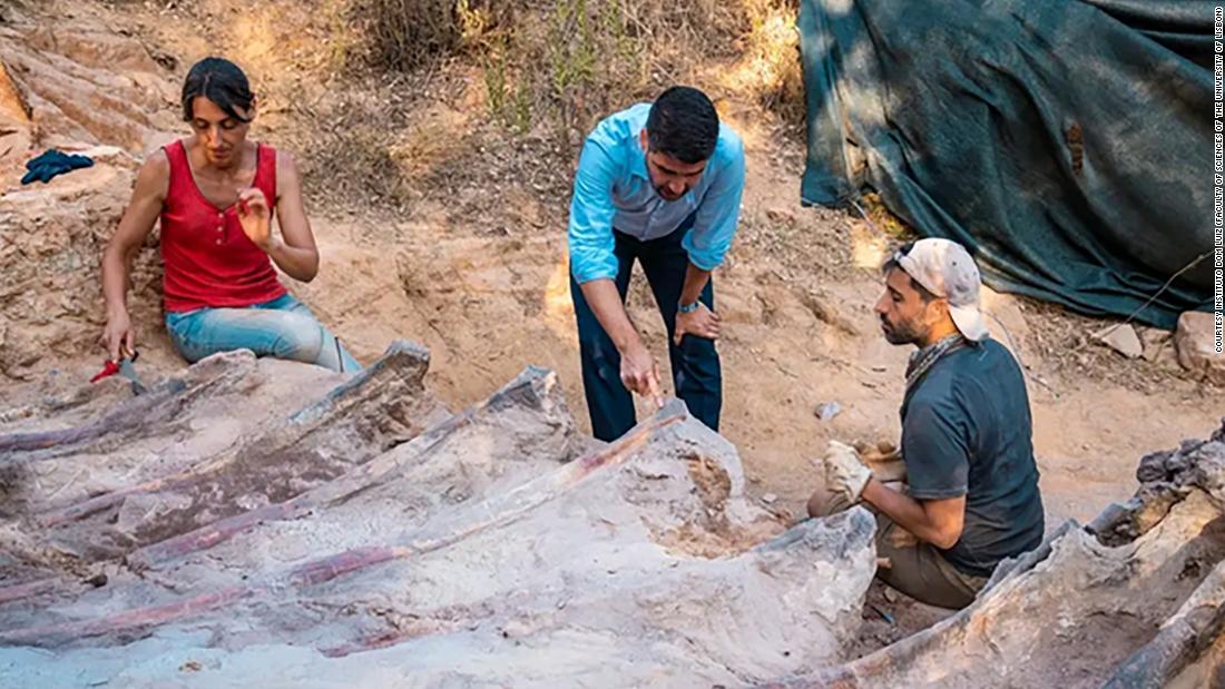 Descubra uma gaiola de dinossauro no quintal de Portugal

