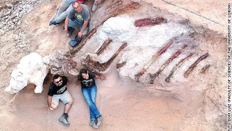 Os pesquisadores acreditam que os restos poderiam ter cerca de 39 pés de altura e 82 pés de comprimento.