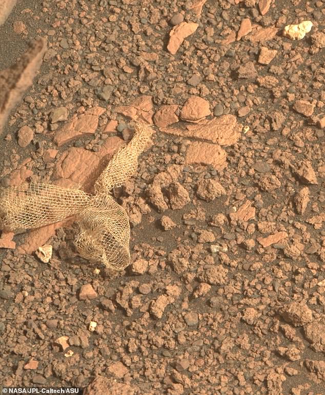 Recentemente, em junho, a perseverança encontrou um pedaço da teia esfarrapada de Dacron que o ajudou a pousar com segurança em Marte.