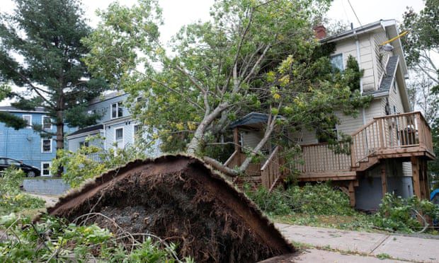 Árvore cai em uma casa em Halifax, Nova Escócia