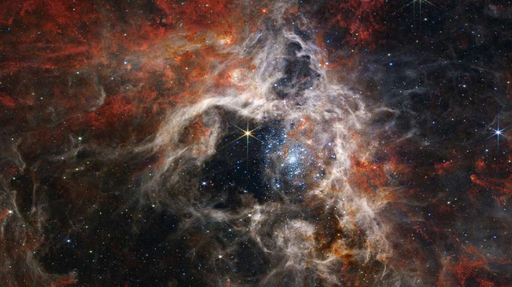 In this mosaic image stretching 340 light-years across, Webb's Near-Infrared Camera displays the Tarantula Nebula star-forming region in a new light.