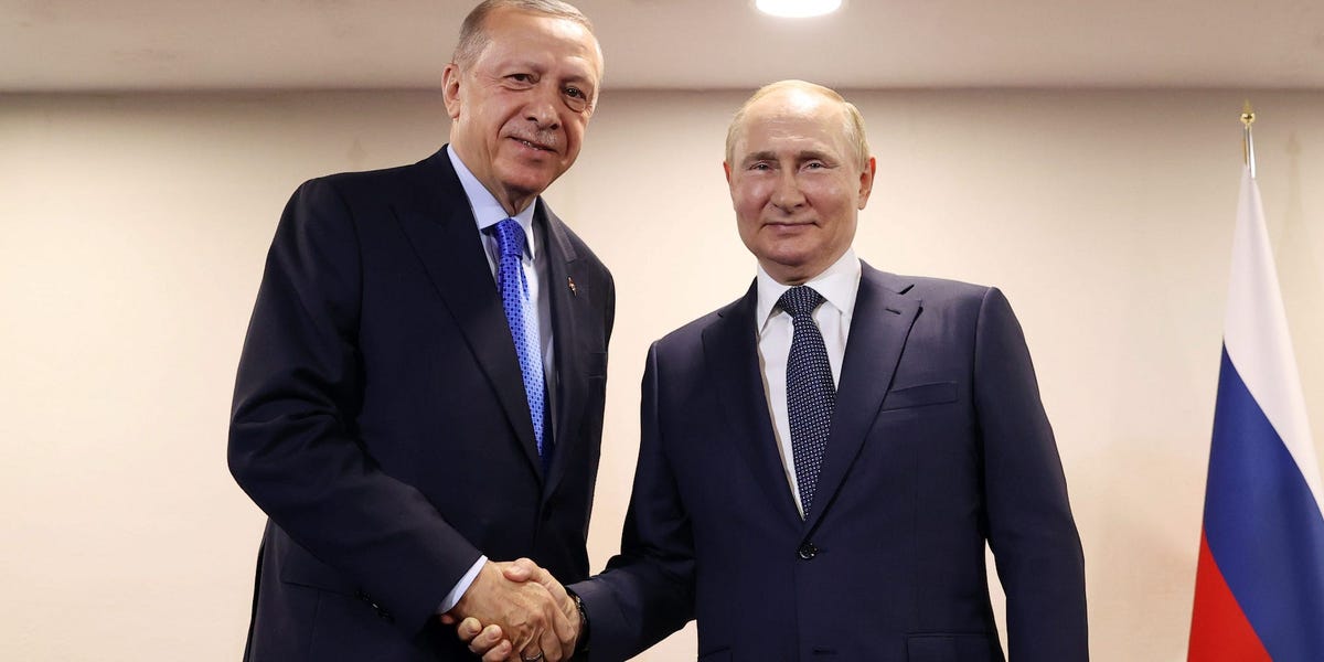 Erdogan diz que trabalhará com Putin para desenvolver centro de gás da Turquia

