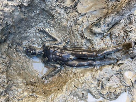 Estátua em bom estado deitada na lama.