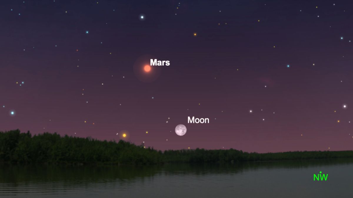 An illustration of the night sky on Dec. 07 showing the full Cold Moon occulting Mars.