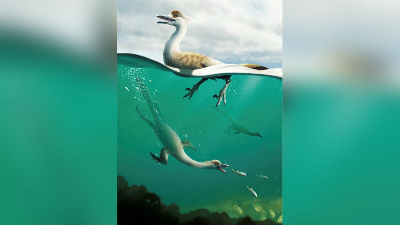 Um novo tipo de dinossauro semelhante a um pinguim foi descoberto